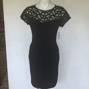 Black Dress with Shear netted neck and sleeves